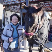 Hành trình giải cứu ngựa đua khỏi lò mổ